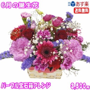 6月の誕生花★パープル宝石箱アレンジ3,500円【送料無料】