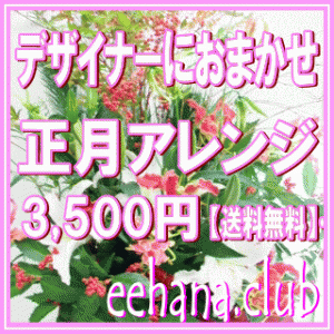 お正月アレンジ★デザイナーにおまかせ3,500円【送料無料】　ネット特価！！