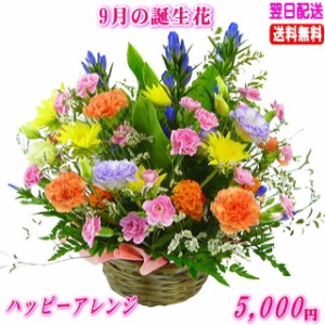 9月の誕生花★ハッピーアレンジ5,000円【送料無料】ネット特価！