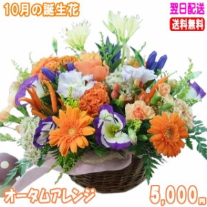 10月の誕生花★オータムアレンジ5,000円【送料無料】ネット特価！！