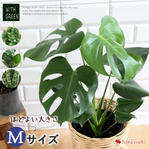 観葉植物 鉢カバー おしゃれの通販 Au Pay マーケット