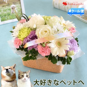 [冷蔵便]でお届け ペットに贈るお供え生花アレンジメント 「ciel-シエル」 お供え花 仏花 フラワー 花 お悔やみ 虹の橋 ペット供養 お供