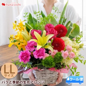 [冷蔵便]でお届け バラと季節の花 おまかせ生花アレンジ 2Lサイズ ギフト 花 フラワーアレンジメント おしゃれ 法人 開店祝い 開業祝い 