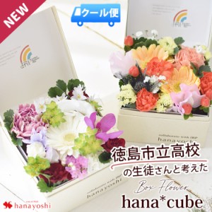 [冷蔵便]でお届け 徳島市立高校の生徒さんと考えた ボックスフラワー 生花 hana cube x IRP ロスフラワー をなくしたい 花 誕生日 プレゼ