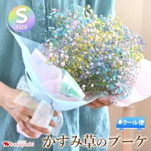 [冷蔵便]でお届け かすみ草のブーケS カスミソウ 花束 カラフル 花 ギフト 誕生日 プレゼント 女性 母 女友達 祖母 父 フラワーギフト 生