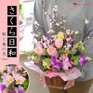 桜と春の花の生花アレンジ さくら日和 おうち花見 お部屋でお花見 送料無料 チューリップ、スイートピー、デンファレ フラワーアレンジメ