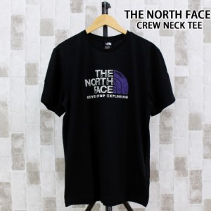 送料無料 THE NORTH FACE ザ ノースフェイス ラストロゴ クルーネックTシャツ M S/S RUST 2 TEE ゆうパケ