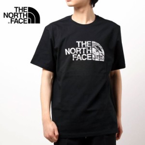 送料無料 THE NORTH FACE MENS TEE ザ ノースフェイス ウッド ハーフドーム 半袖Tシャツ WOOD DOME TEE ゆうパケ