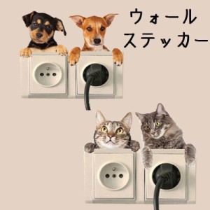 ウォールステッカー 壁紙シール ウォールシール 犬 猫 リアル いぬ ねこ イヌ ネコ 壁シール DIY 壁