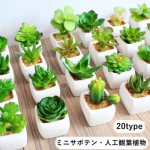 人工観葉植物 フェイクサボテン フェイクグリーン 造花グリーン ミニサボテン 多肉植物 緑 枯れない 植物装飾 ポット付き リア