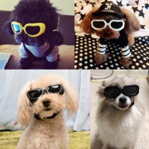 犬用ゴーグル 犬用サングラス ペット用 メガネ イヌ ワンちゃん 猫 ゴム フィット かわいい かっこいい おしゃれ 紫外線 Uの通販はau Pay マーケット プラスナオ 商品ロットナンバー