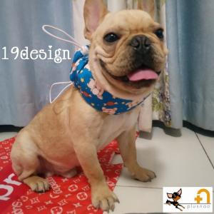 クールネックカバー スカーフ 小型犬 ペット用 カジュアル 布地 コーギー フラミンゴ パイナップル 雄 雌 模様 冷却 かわの通販はau Pay マーケット プラスナオ 商品ロットナンバー
