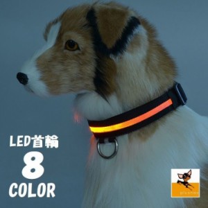 【ゲリラSALE】LED首輪 光る首輪 犬用首輪 首輪 LEDライト LED リチウム電池 光る 発光 光る犬用首輪 犬用 ペ