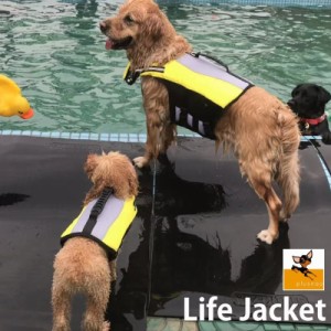 ドッグウェア 犬用ライフジャケット 水着 タンクトップ ペット用品 夏 海 川 お出かけ 旅行 アウトドア スタイリッシュ おし