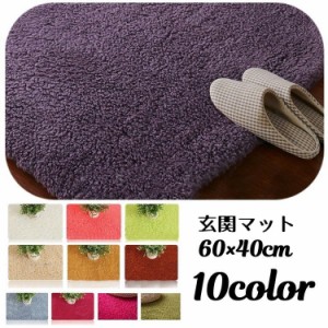 玄関マット 60×40cm フロアマット トイレマット バスマット 洗面所マット カーペット 浴室 玄関 リビング ベッドルーム