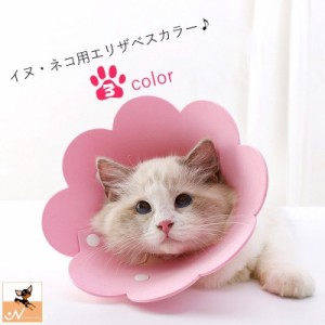 エリザベスカラー ネコ 猫 小型犬 ペット用品 ペット雑貨 スナップボタン フラワー 花型 無地 イエロー ピンク オレンジ シ