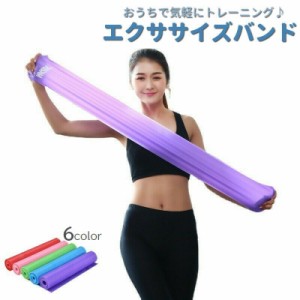 エクササイズバンド トレーニングチューブ スポーツ器具 フィットネス ダイエット ストレッチ 引き締め 筋トレ リハビリ ヨガ 