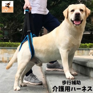 介護用ハーネス 後ろ足用 後足 犬用 ドッグ ペット用品 ベルト 歩行補助 リハビリ サポート 老犬 シニア 高齢 怪我 障害 