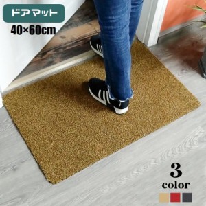 屋外用ドアマット 玄関マット 40×60cm 長方形 家庭用 業務用 泥落とし 砂落とし 滑り止め 洗える カット 北欧風 スタ