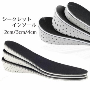 シークレットインソール 中敷き 靴用品 身長アップ 2cm 3cm 4cm 足長効果 美脚効果 メンズ レディース 男女兼用 ユ