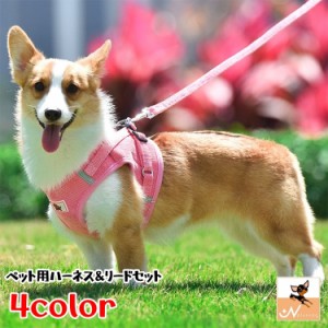 ハーネスリード 小型犬 中型犬 イヌ ネコ 猫 ペット用品 ペットグッズ お散歩グッズ マジックテープ 反射材付き タグ ロゴ 