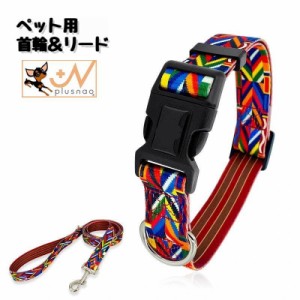 首輪 リード 2点セット 犬用 小型犬 ペット用品 カラー 散歩紐 リーシュ ワンタッチバックル カラフル レインボー おしゃれ