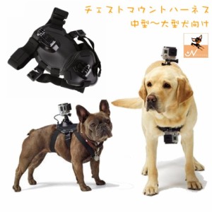 犬用チェストマウントハーネス Gopro用 カメラ固定用ハーネス カメラ固定用胴輪 ドッグハーネス ドッグマウント 中型犬 大型