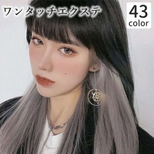 ワンタッチエクステ メッシュ レディース 女性 ヘアアクセサリー ロング ストレート カラフル つけ毛 ヘアアレンジ おしゃれ