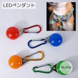 LEDペンダント ペット用品 犬用 猫用 レッド ブルー ピンク カラフル カラビナ付き 迷子防止 事故防止 カラバリ豊富