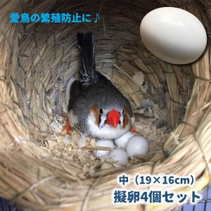 偽卵 擬卵 4個セット 19×16mm ダミー卵 フェイク卵 小鳥 愛鳥 オカメイインコ コザクラインコ 繁殖抑制 長寿 抱卵 