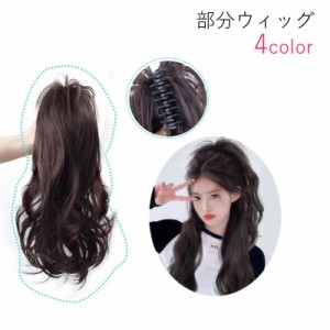 部分ウィッグ ポイントウィッグ バンスクリップ 付け毛 レディース 女性 ヘアアクセサリー ファッション雑貨 ロングヘア 挑発 