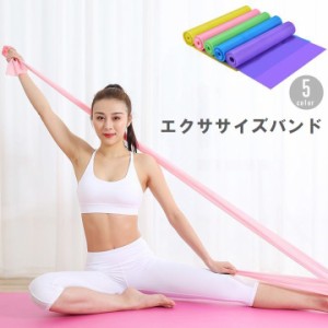 エクササイズバンド トレーニングチューブ ストレッチ フィットネス トレーニング 筋トレ リハビリ ダイエット 引き締め ヨガ 