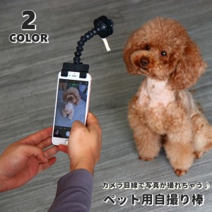 ペット用自撮り棒 セルカ棒 セルフィスティック クリップ スマホ用品 ツール 犬 猫 イヌ ネコ いぬ ねこ ドッグ キャット 