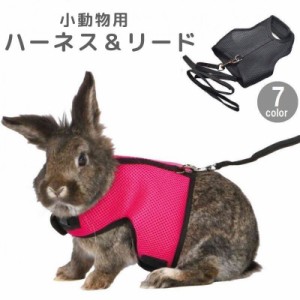 小動物用ハーネス リード 2点セット ペットウェア ベスト うさぎ モルモット フェレット  無地 メッシュ 通気性 シンプル 