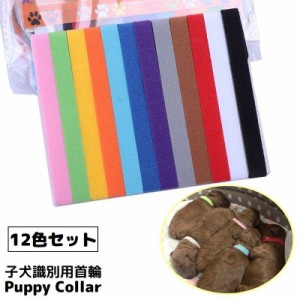 パピーカラー パピーマーカー 12色セット 識別用首輪 子犬 子猫 小型犬 ペット用品 両面ファスナー式 着脱簡単 長さ調節可能