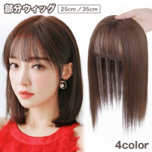 部分ウィッグ 部分かつら ミディアム ロング レディース 女性 ヘアピース ポイントウィッグ つけ毛 前髪 サイド トップ ボリ