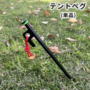 テントペグ 固定ピン 単品 アウトドア キャンプ タープペグ キャンプ用品 キャンプ設営用具 アウトドア 固定用釘 20cm 2