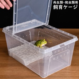 飼育ケース プラスチックケース プラケース 両生類 爬虫類 昆虫 小動物用 飼育容器 カエル トカゲ カメ 小型 給餌箱 隔離ボ