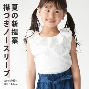 ブラウス ノースリーブ トレンド 襟レース 丸襟 ビッグ衿 入学式 卒業式 発表会 お嬢様コーデ 子供服 綿100％ コットン1