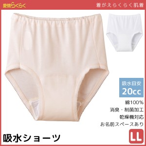 愛情らくらく 着替えらくらく肌着 介護ウェア ショーツ 失禁パンツ 20cc対応 尿漏れパンツ LLサイズ 介護下着 介護肌着 介護用品 グンゼ 