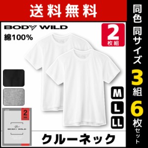 3組セット 計6枚 BODYWILD ボディワイルド クルーネックTシャツ 半袖丸首 2枚組 グンゼ GUNZE ボディーワイルド BODY WILD | メンズ 綿10