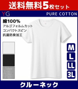 送料無料5枚セット YG ワイジー COTTON 綿100% クルーネックTシャツ Mサイズ Lサイズ LLサイズ 3L グンゼ GUNZE| メンズ 綿100％ インナ