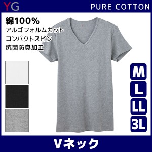 YG ワイジー COTTON 綿100% VネックTシャツ Mサイズ Lサイズ LLサイズ 3Lサイズ グンゼ GUNZE| メンズ インナー インナーシャツ 下着 Tシ