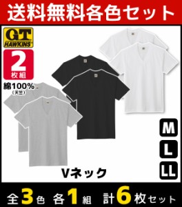 3色1組ずつ 送料無料3組セット 計6枚 G.T.HAWKINS ホーキンス VネックTシャツ ２枚組 グンゼ GUNZE | メンズ インナー インナーシャツ 下