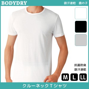 BODYDRY ボディドライ クルーネックTシャツ 半袖丸首 Mサイズ Lサイズ LLサイズ グンゼ GUNZE | メンズ 紳士 男性 肌着 紳士肌着 男性下