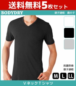 送料無料5枚セット BODYDRY ボディドライ VネックTシャツ 半袖V首 Mサイズ Lサイズ LLサイズ グンゼ GUNZE | メンズ 紳士 男性 肌着 紳士