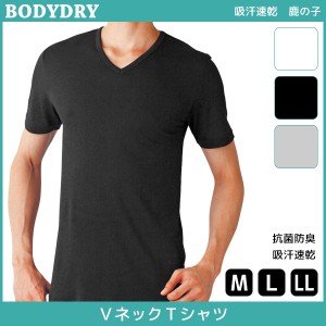 BODYDRY ボディドライ VネックTシャツ 半袖V首 Mサイズ Lサイズ LLサイズ グンゼ GUNZE | メンズ 紳士 男性 肌着 紳士肌着 男性下着 イン