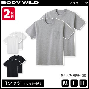 BODYWILD ボディワイルド ポケット付き ヘビーウェイトTシャツ クルーネック 2枚組 グンゼ GUNZE ボディーワイルド BODY WILD 綿100％ | 