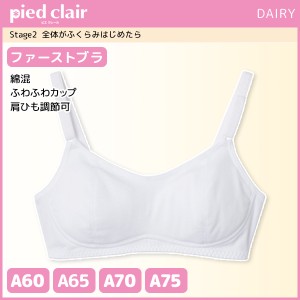 ジュニアレディース pied clair ピエクレール Stage2 全体がふくらみはじめたら ファーストブラ ハーフトップ カップ付き グンゼ GUNZE 