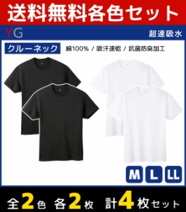 2色2枚ずつ 送料無料4枚セット YG ワイジー 超吸収コットン クルーネックTシャツ 半袖丸首 グンゼ GUNZE | 大きいサイズ 肌着 男性下着 